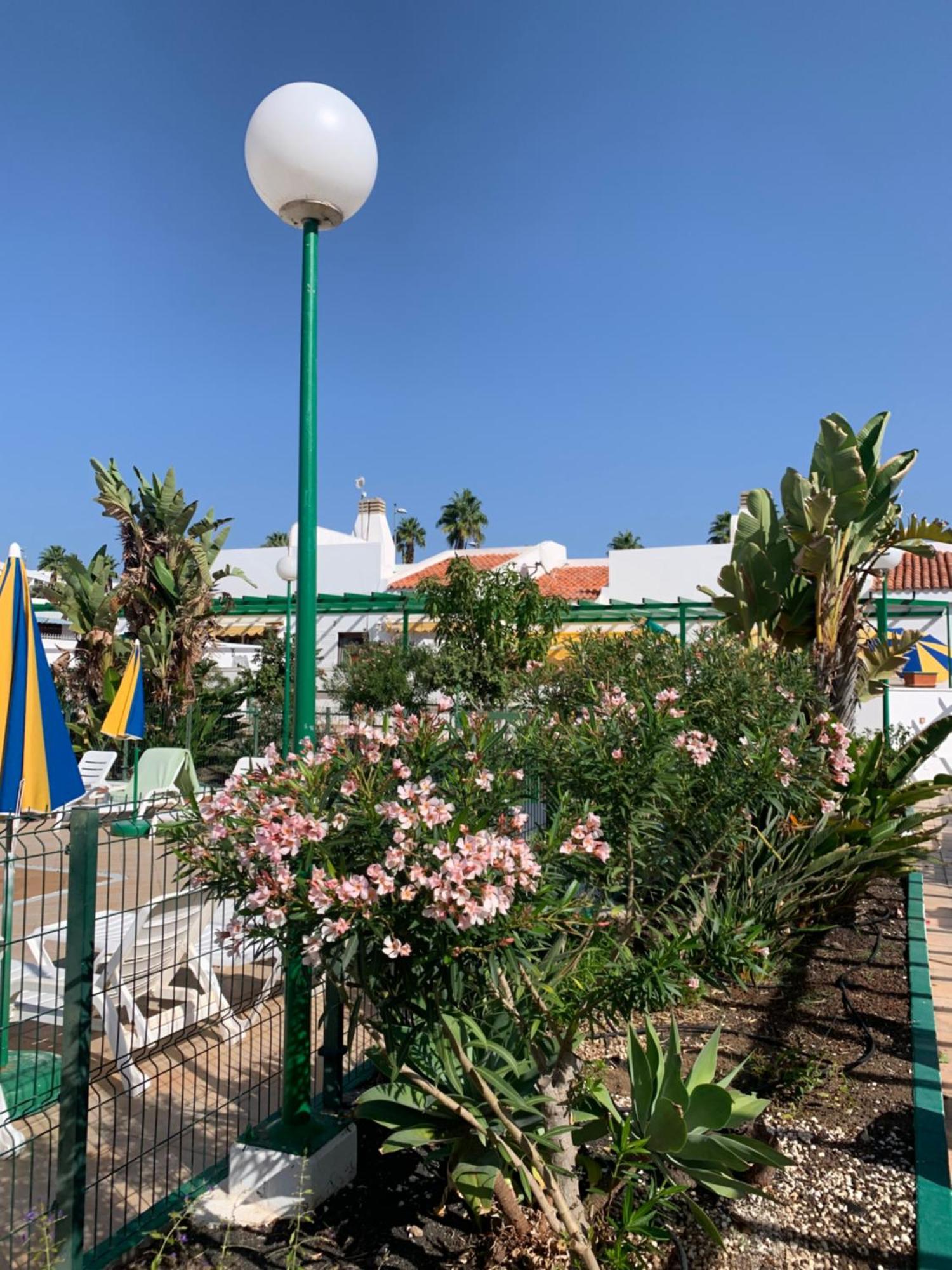 Hébergement de vacances Felicidad Playa del Inglés
